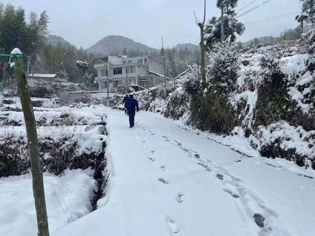 下雪啦 蓝色背影vs白色雪景 您觉得哪个更美?