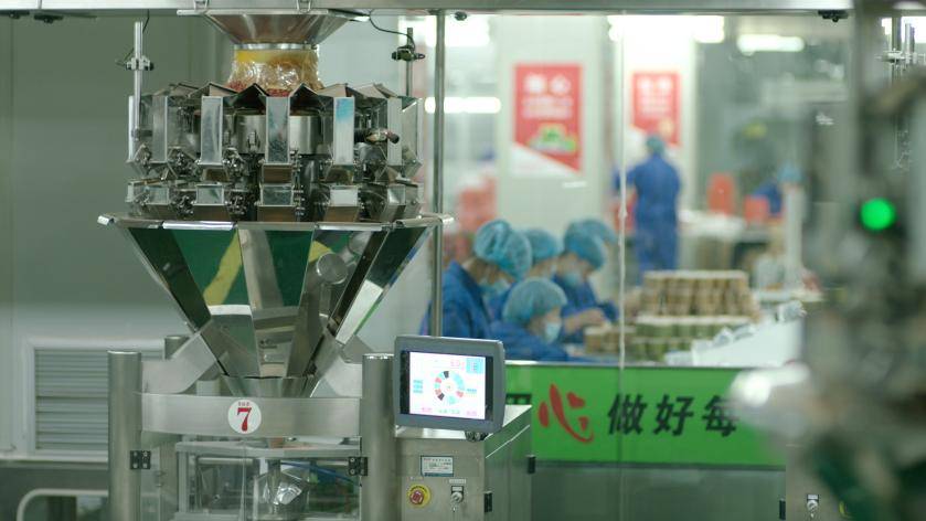 宁夏贺兰县项目强力牵动聚力产业发展