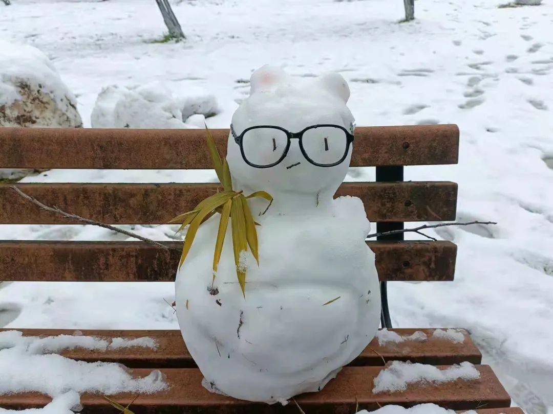 一大波雪人向你奔来~_er_冰雪_冰墩