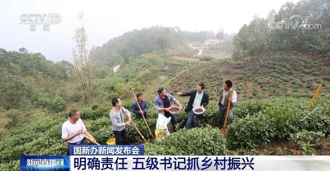 聚焦2022年乡村振兴明确责任五级书记抓乡村振兴稳扎稳打推进