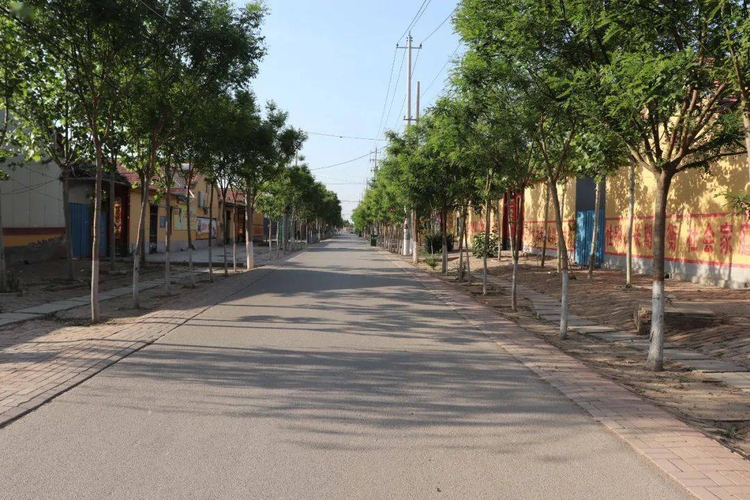 1234工作法助力庆云县东辛店镇颜值再提升