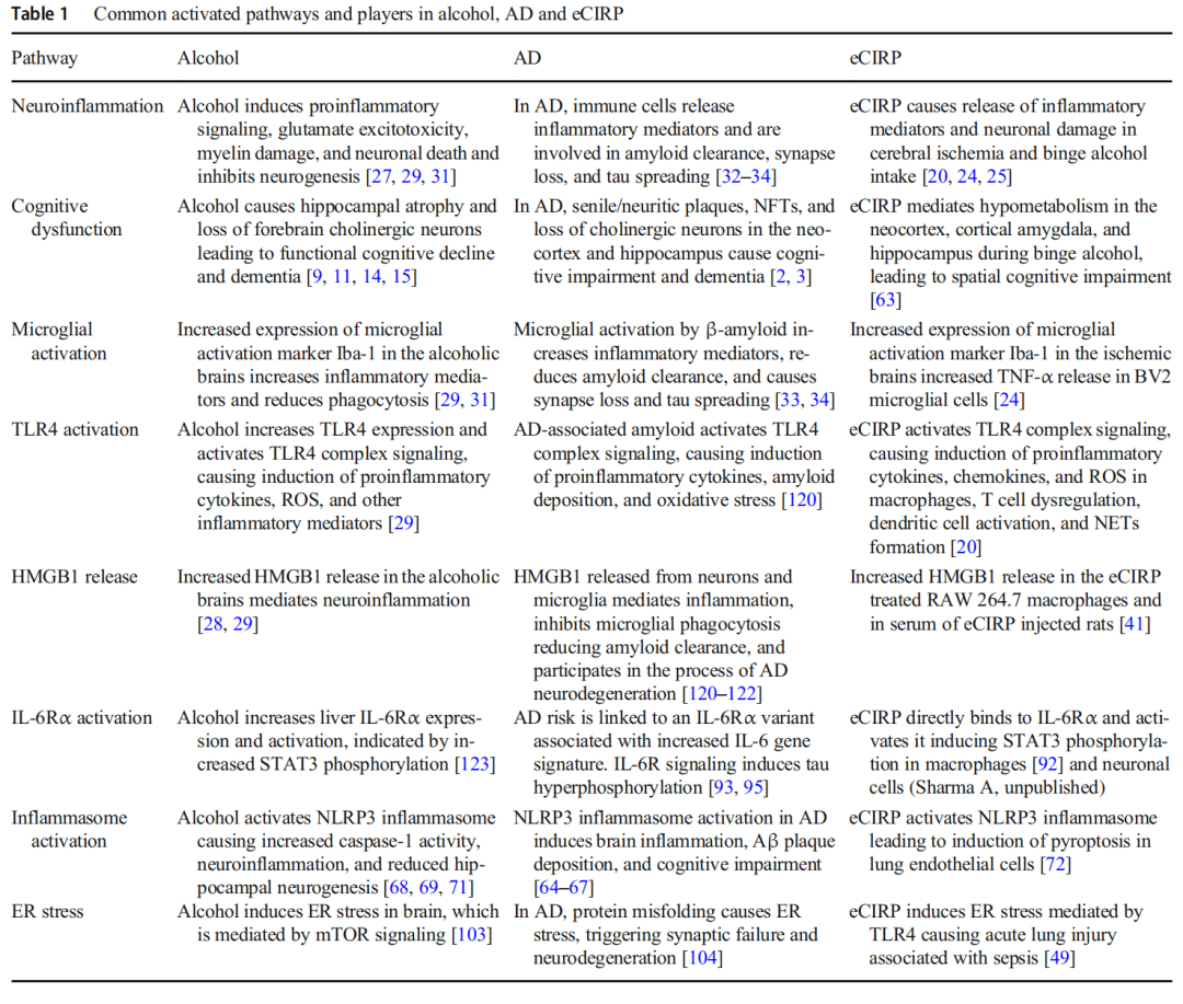 喝酒让人变傻包括老年痴呆健识药师谈