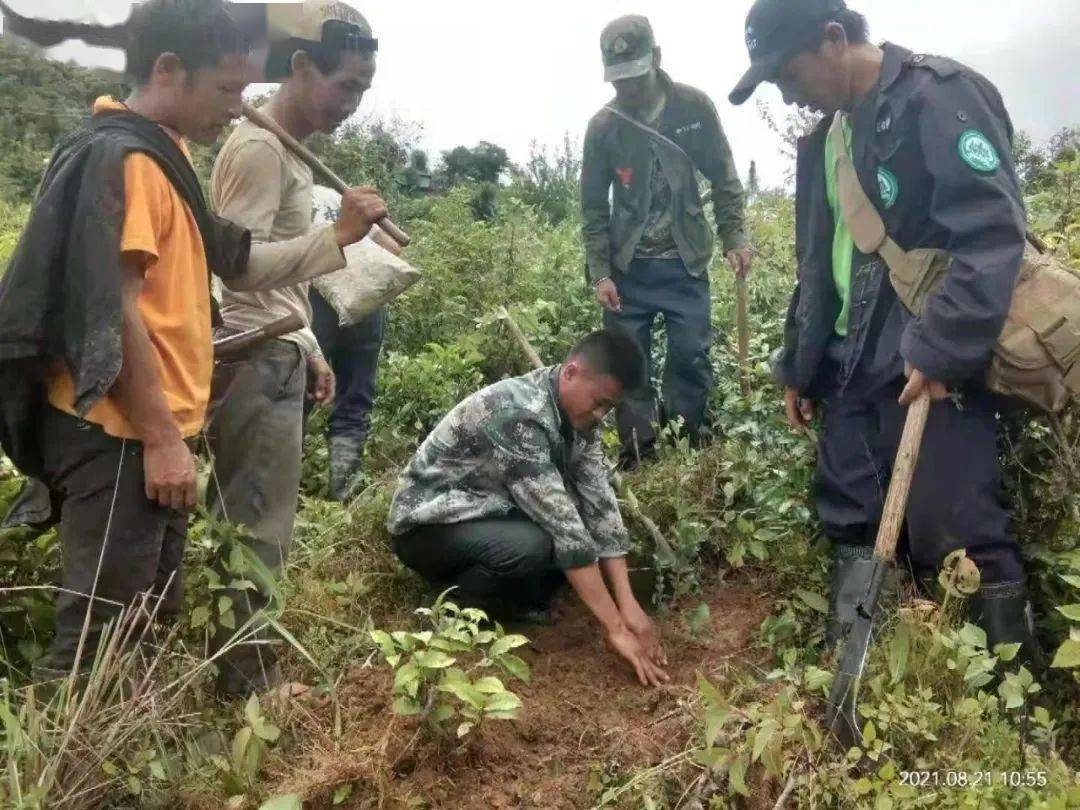 保护传承基地,南六村南嘎河村民小组,保存着最原始的拉祜族制作芦笙的