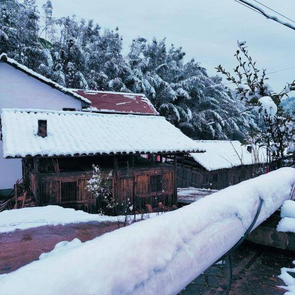 景区|江西多地迎来降雪 唯美雪景引人醉