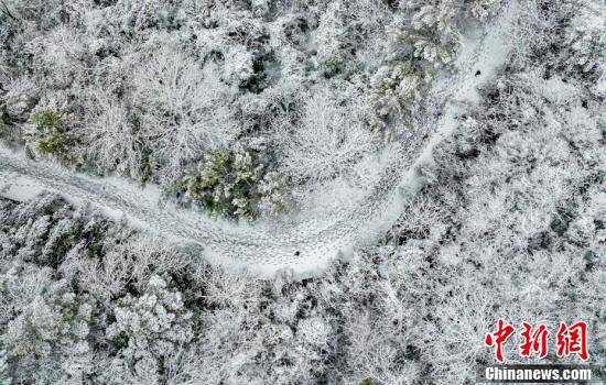 森林|航拍江西新余森林公园雪景如画 宛如“北国风光”