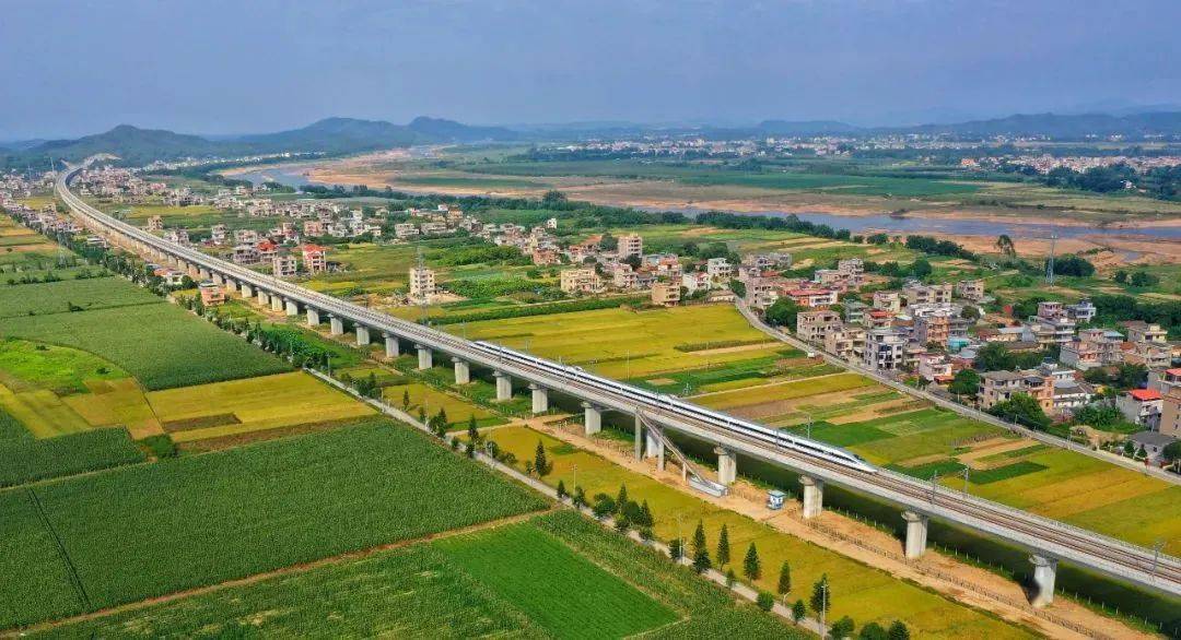 博罗1人1集体获惠州市表彰_泰美镇_工作_永忠