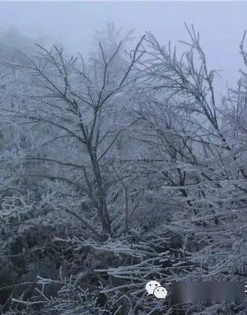 乐业雪景图片