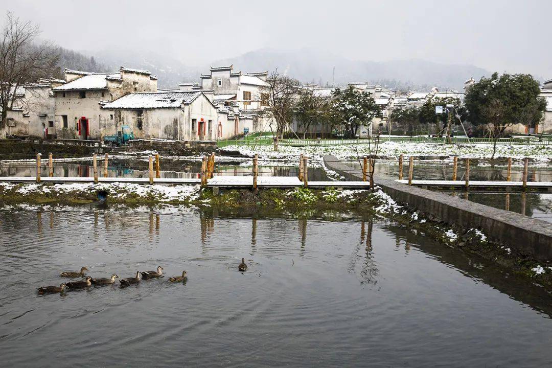 安徽农村雪景图片