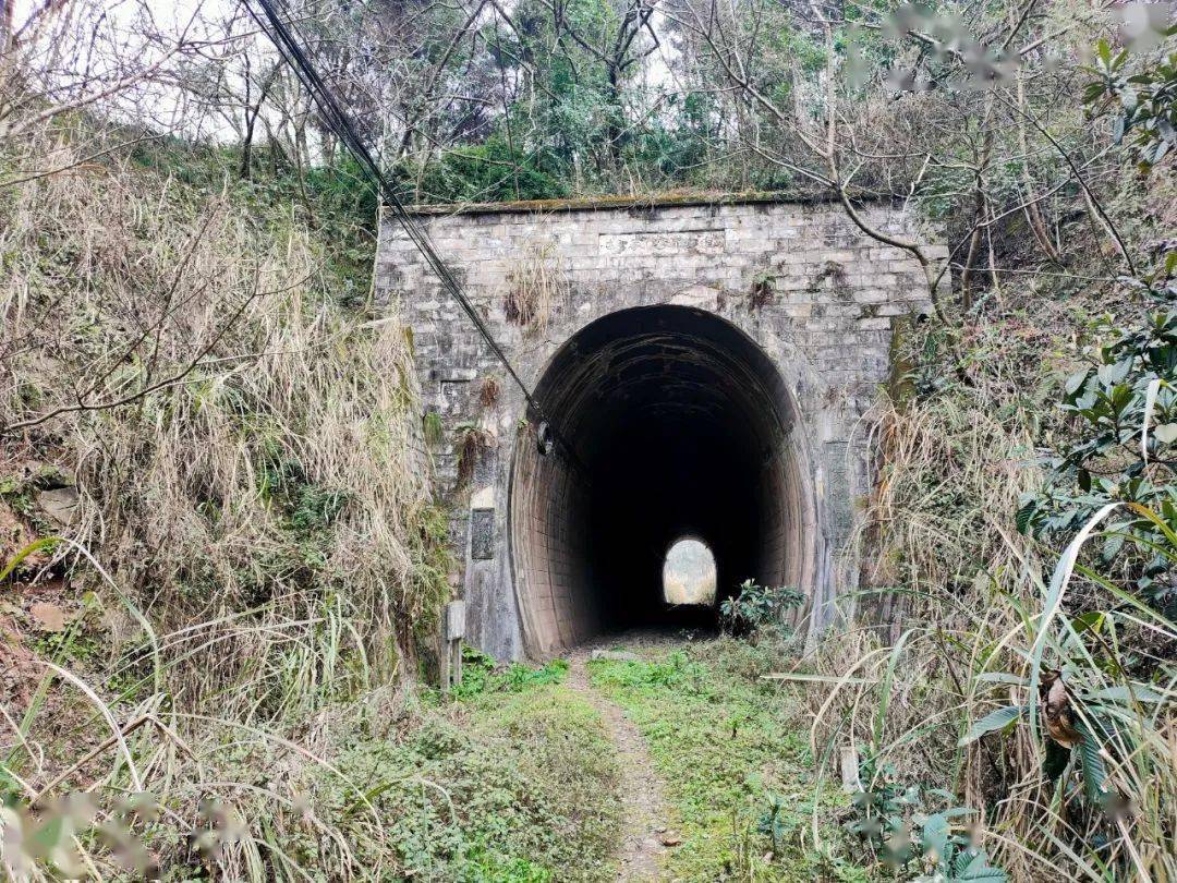 今天耗子哥來參觀這已經廢棄的達成鐵路胡家灣隧道