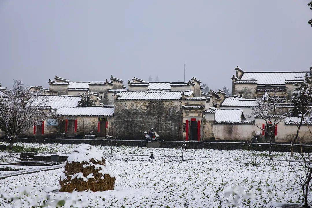 安徽农村雪景图片