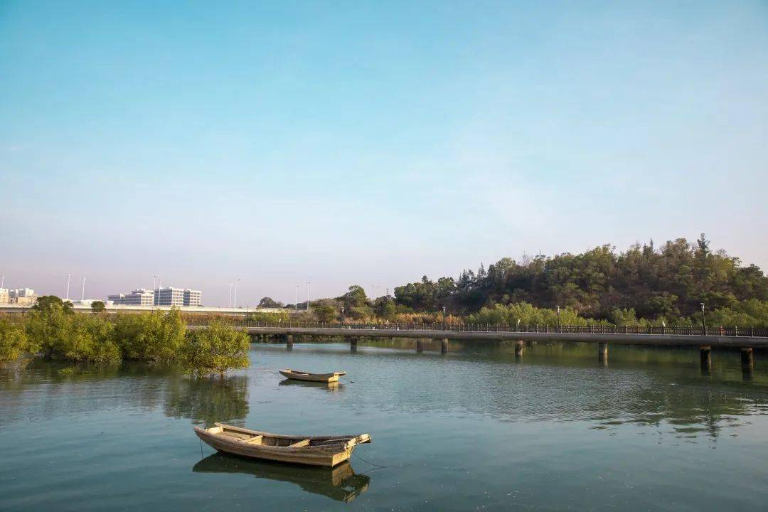 攝)市民遊客在下潭尾紅樹林公園遊玩溼地公園遠景翔安區火炬大橋兩側