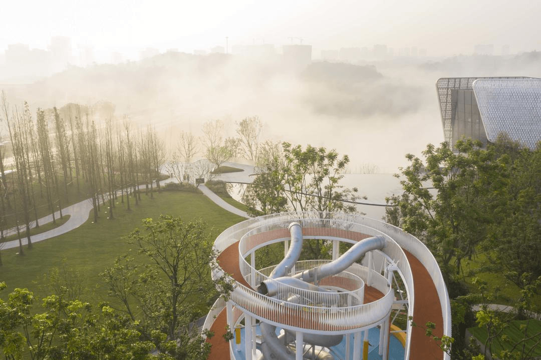 生長在清溪河南側,由麓湖雲朵樂園