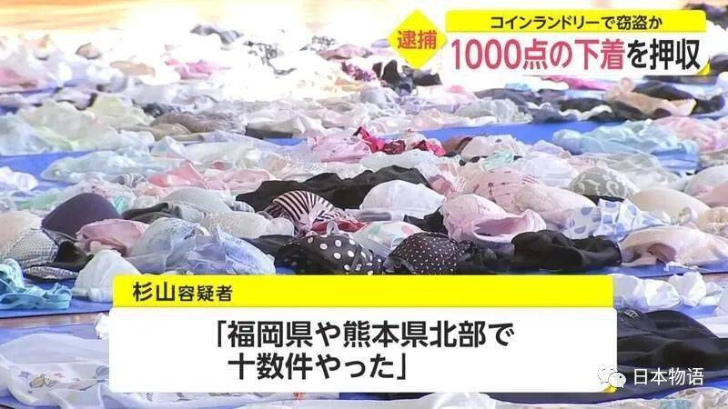 熊本县警察抓到内衣大盗 从住处搜出1000多条内裤胸罩 日本 警方 新闻报导