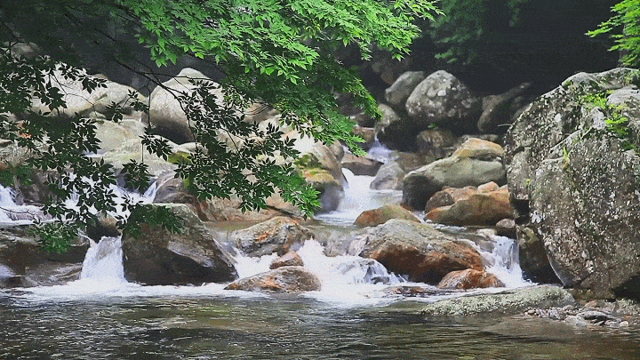 在台阶上留下绿色的痕迹,拂过了岸边的垂柳,吹醒了枝头的海棠,春风带