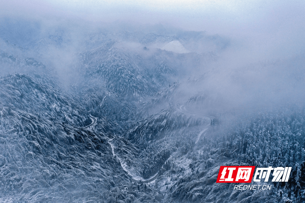 郑时|新田：水墨雪乡