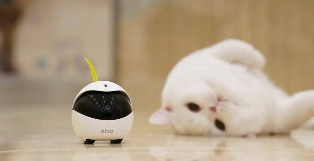 带娃逗猫和清洁无所不能的家用机器人设计