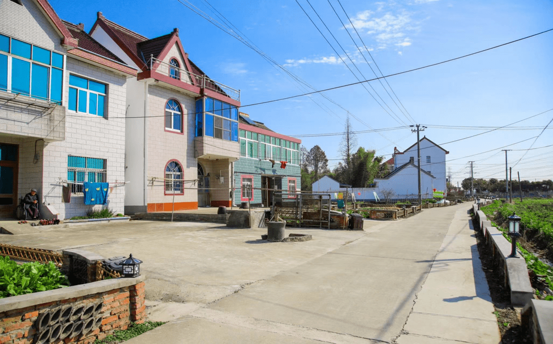 枫泾这个与乐高乐园临近的小集镇,面貌已今非昔比~_乡村_村民_环境