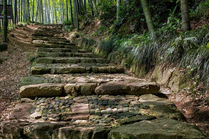 衢州周公山古道图片