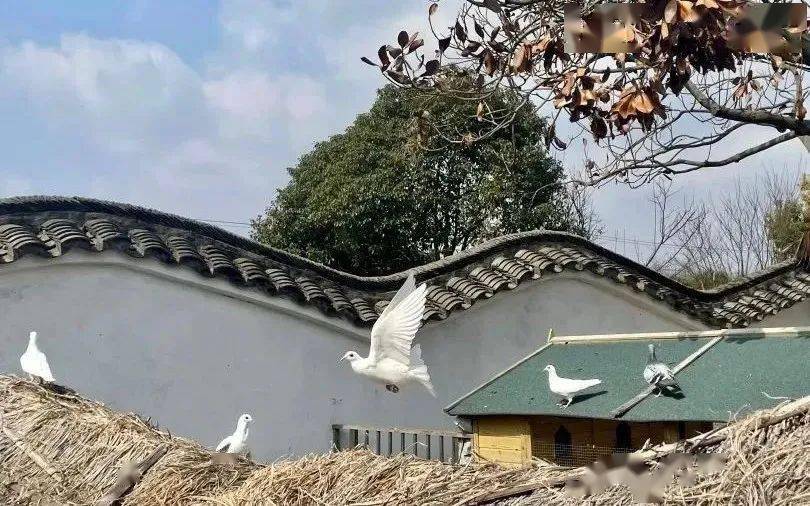 活动|【乐游】莫负好春光,三民文化村春日亲子游特惠活动上线~