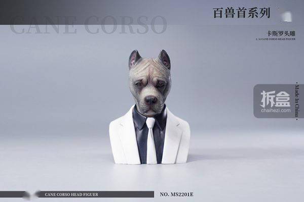 售价MOSTOYS 百兽首头雕 1/6卡斯罗犬头雕可动 兵人配件