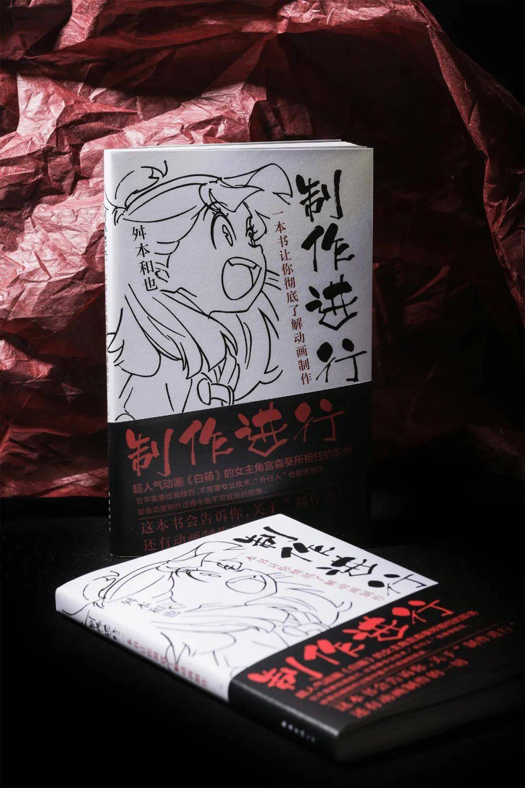 白箱|一本炒到10倍价格的动画行业用书，新版出炉！