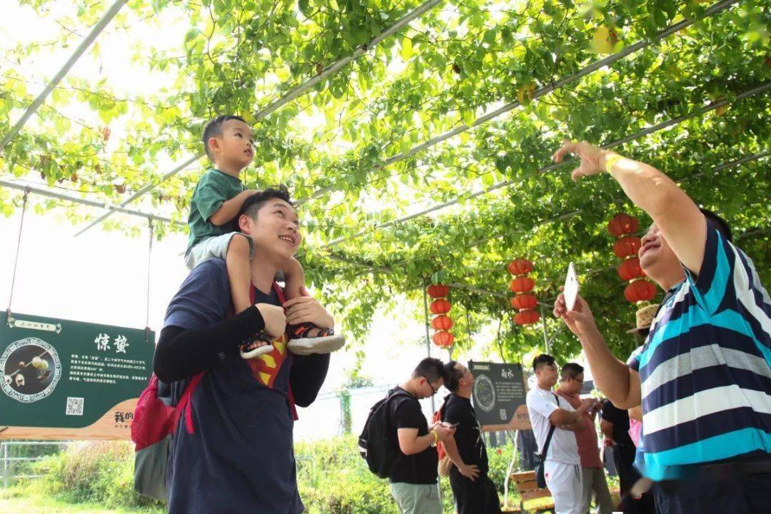 东莞企石我的农场继续保留省级休闲农业与乡村旅游示范点称号