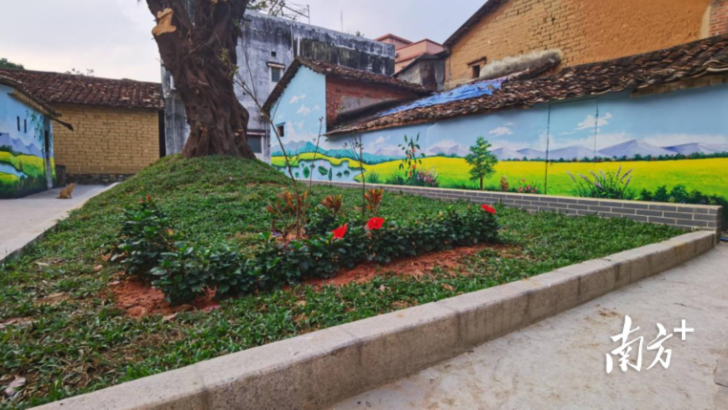 攻坚战·动起来③|东莞东坑镇寮边头村:"四小园"刷新高颜值