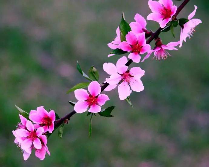 �������������д����ã�