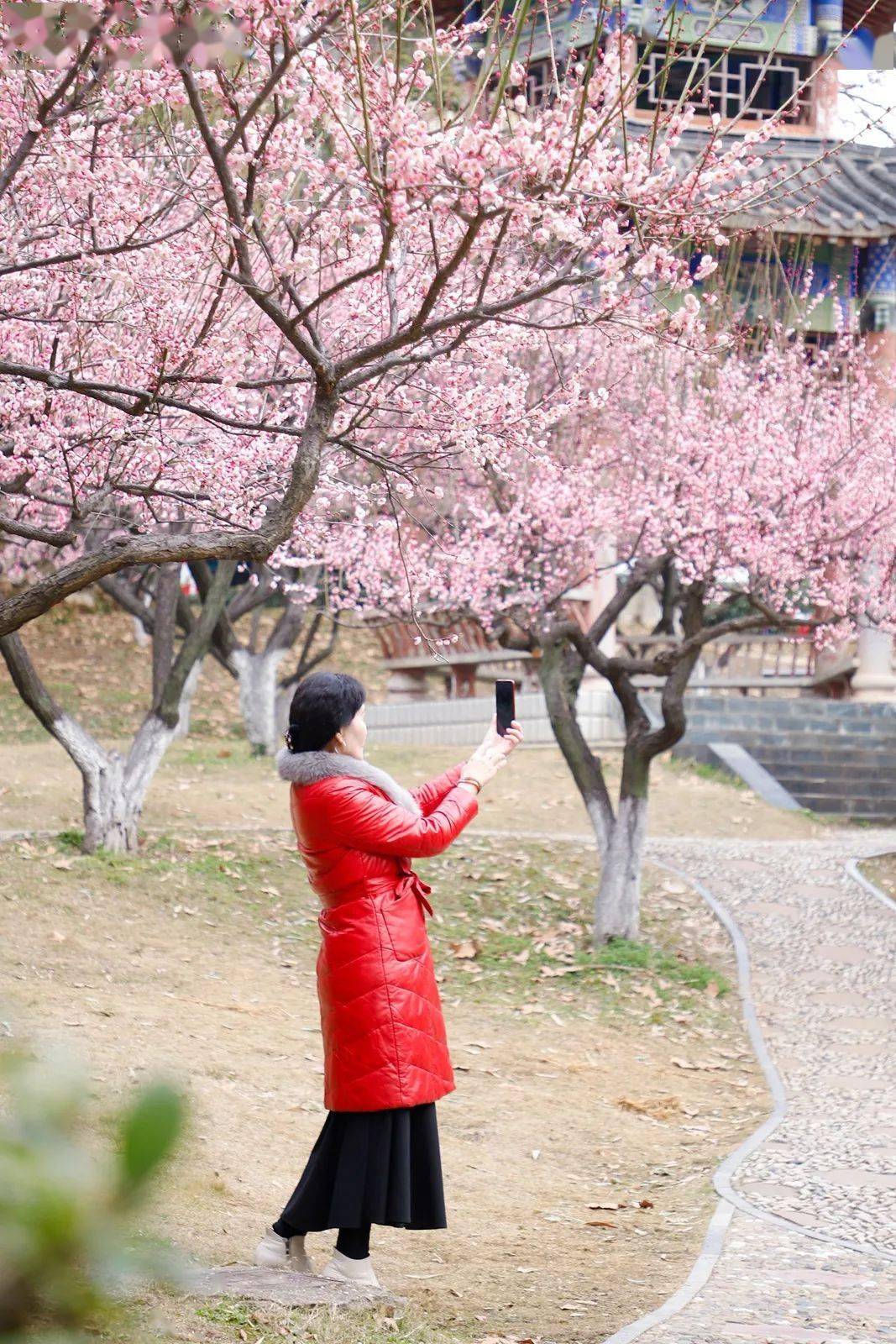 华师限定春日花海这份浪漫只与你分享