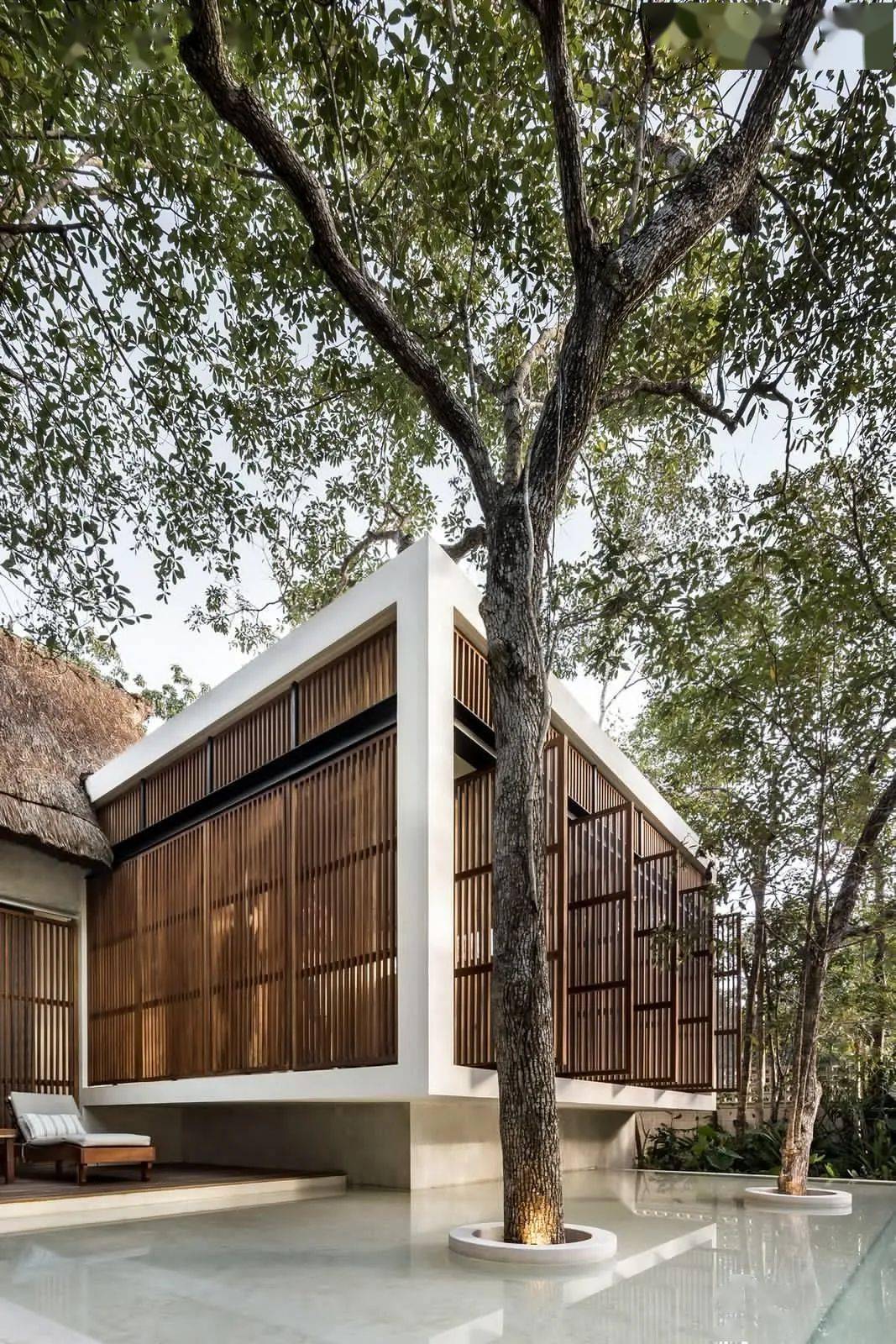 自然主义的诗与远方 / jaque studio_建筑_ceiba_空间