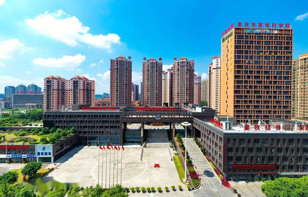 荣昌规划打造"荣昌之芯",这些地方将迎来新发展_建设_城市_中心