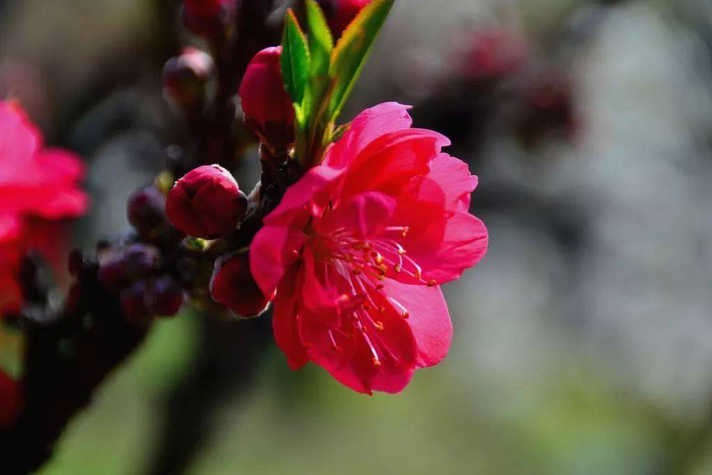 �������������д����ã�