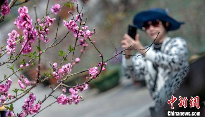 花园里|福建永春：桃花盛开引客来