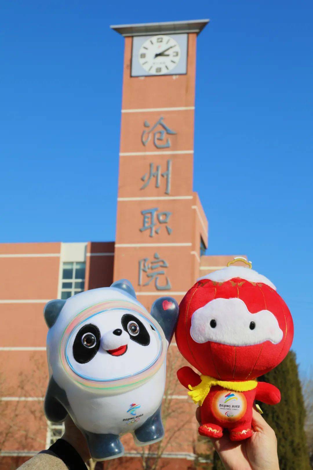 新晋网红冰墩墩和雪容融和你一起畅游沧职