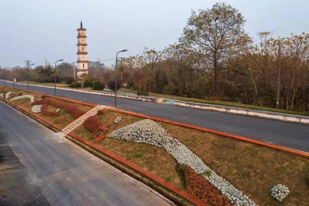 美丽迎亚运 | "扮靓"城市风貌,余杭街道"焕新"再出发!_环境_魏正英_公