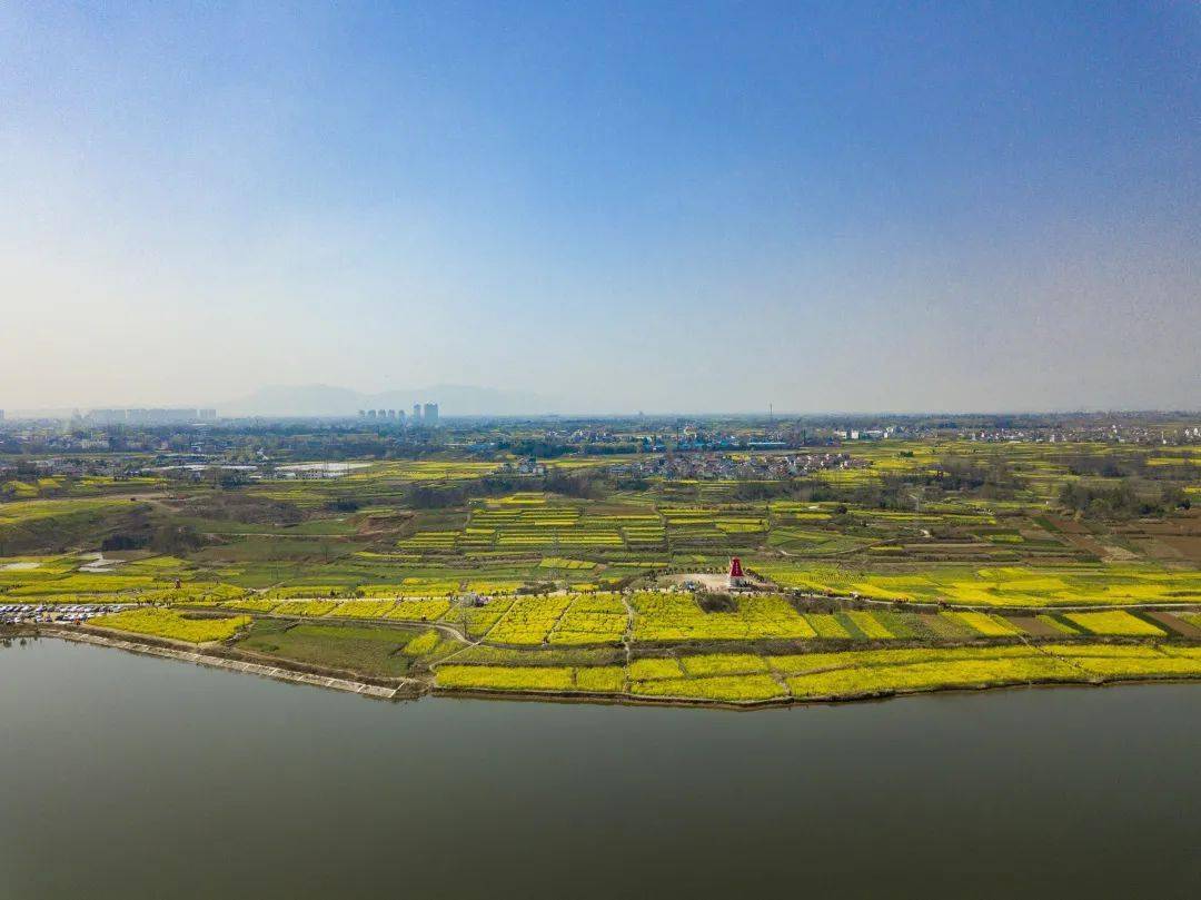 老君镇|汉台区油菜花最佳赏花地看过来→