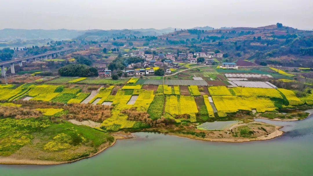 【美丽船城 可爱家乡】春日打卡胜地——重龙镇泥巴湾村_资中_的花海