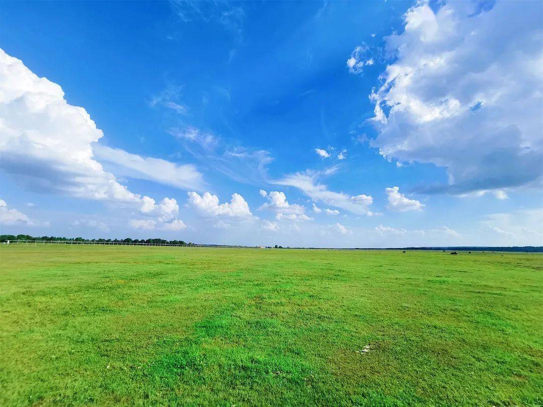 攻略| 2022,在鄂尔多斯的四季等你_草原_旅游_准格尔