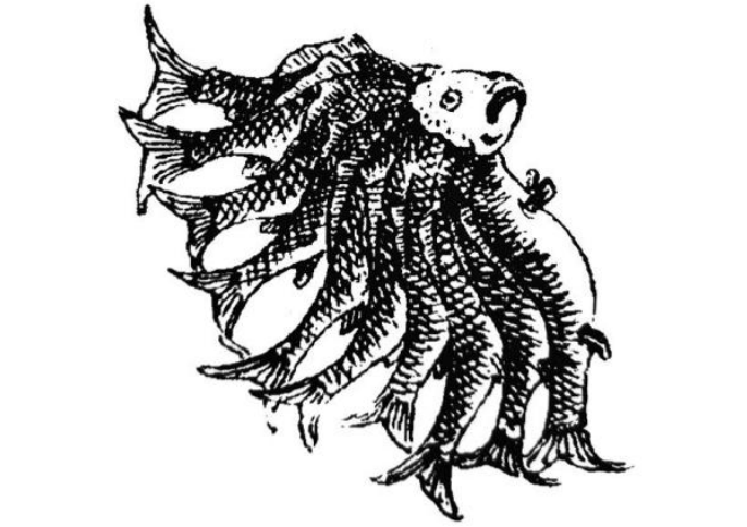 博物|如何把一只猫变成怪兽？《山经》中“怪物”的本来面目