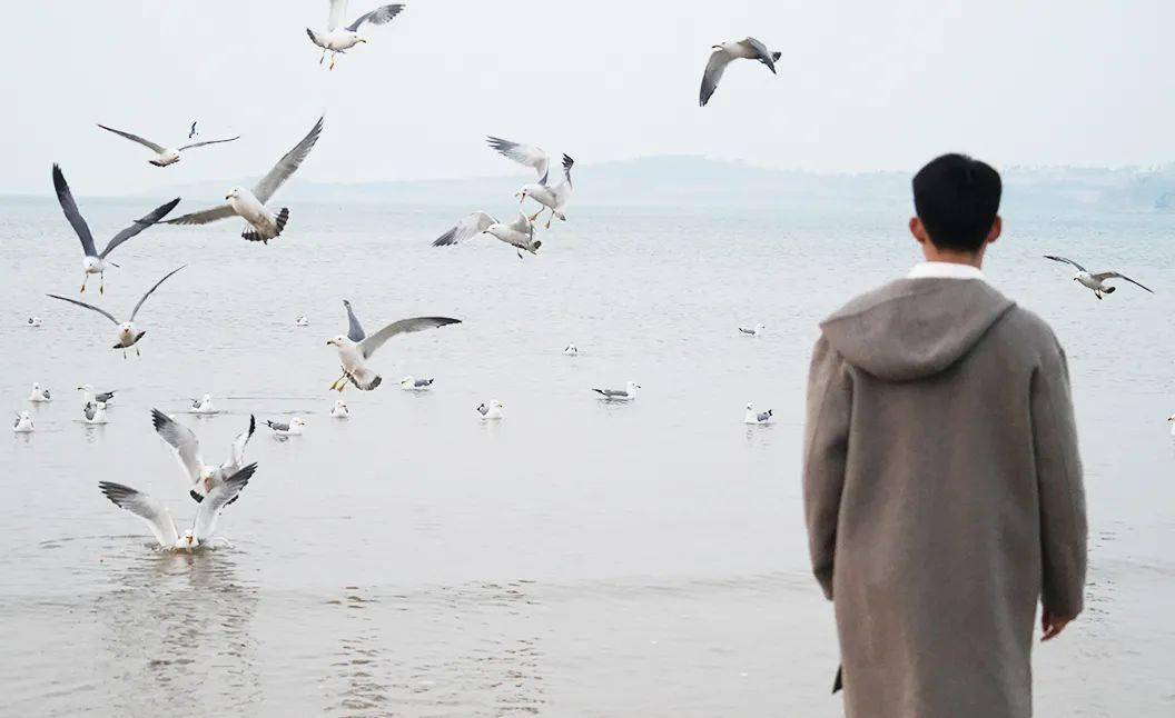 阳光|沿这条路，看那片海，我在威海邂逅如诗“慢生活”