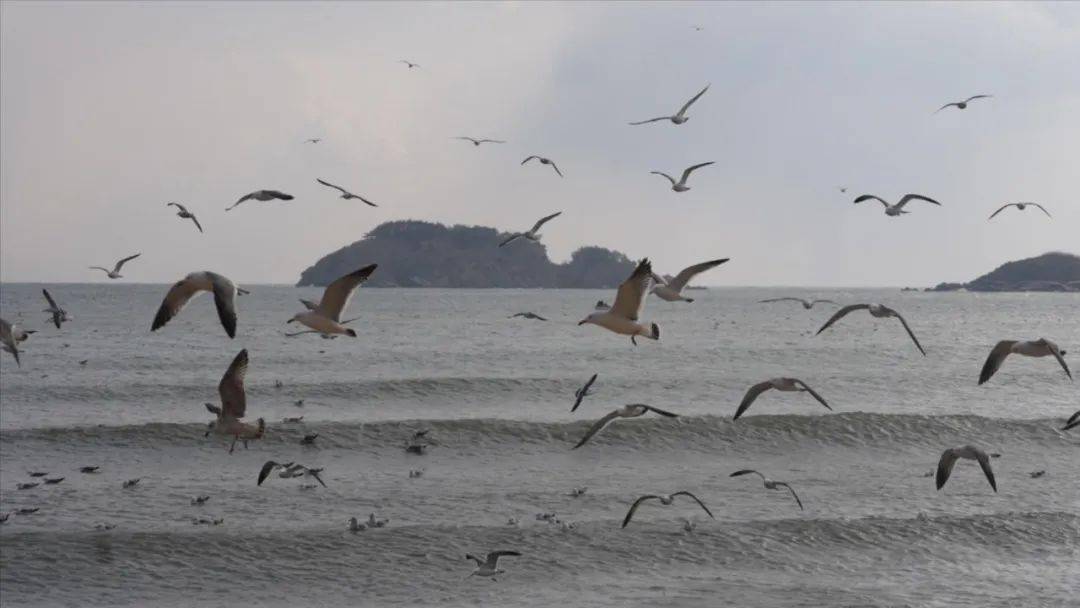 阳光|沿这条路，看那片海，我在威海邂逅如诗“慢生活”