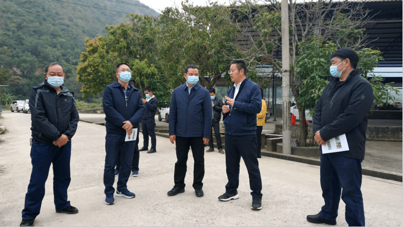 陈勇宏调研乡村振兴示范村建设工作