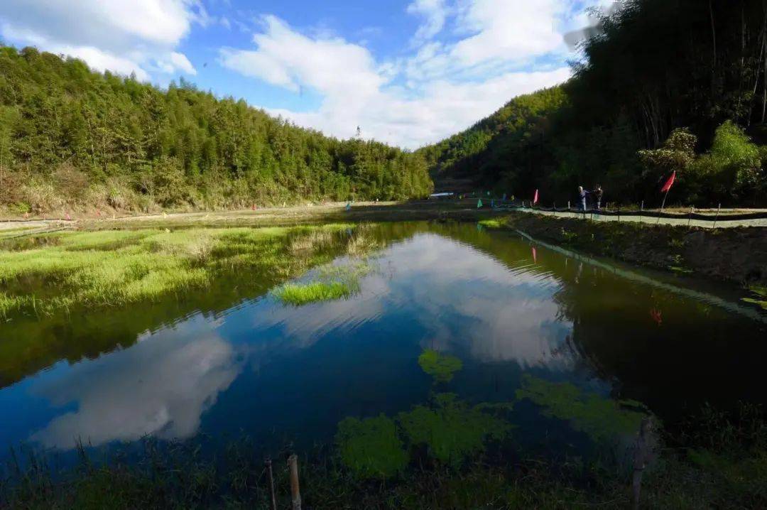 美翻了我的村红色文化赋能创建特色文明村日溪乡铁坑村