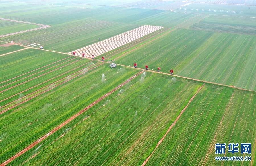 5G“新农业”涌春潮