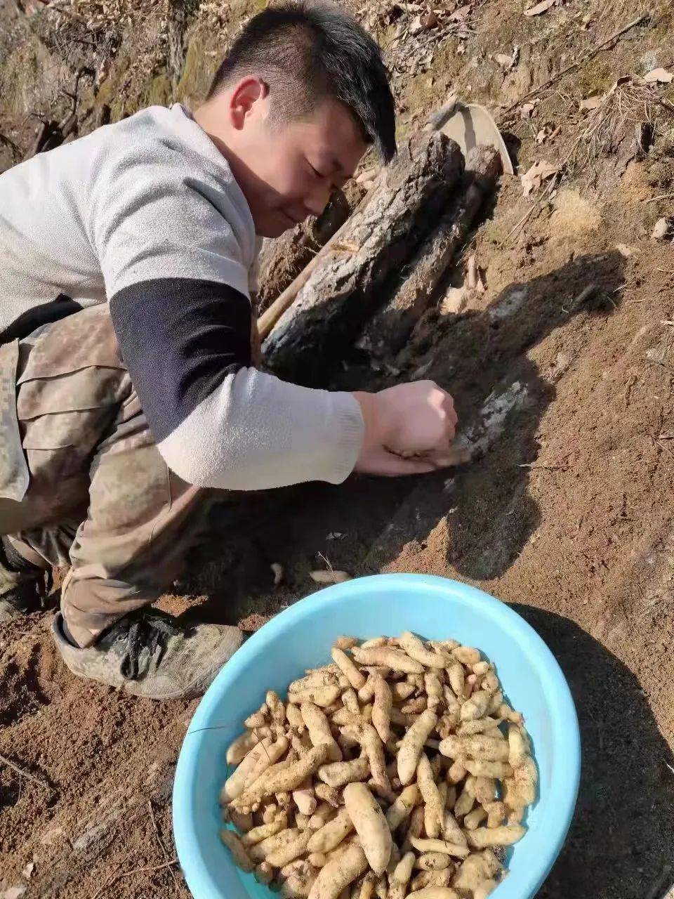 三河坝镇:抓好春播备耕 不误农时不负春_天麻_种植_初至