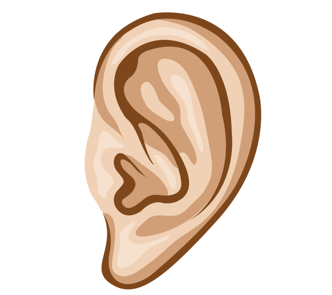 它的健康也最容易被忽视耳朵是我们的五官中最不起眼的今年的主题是"