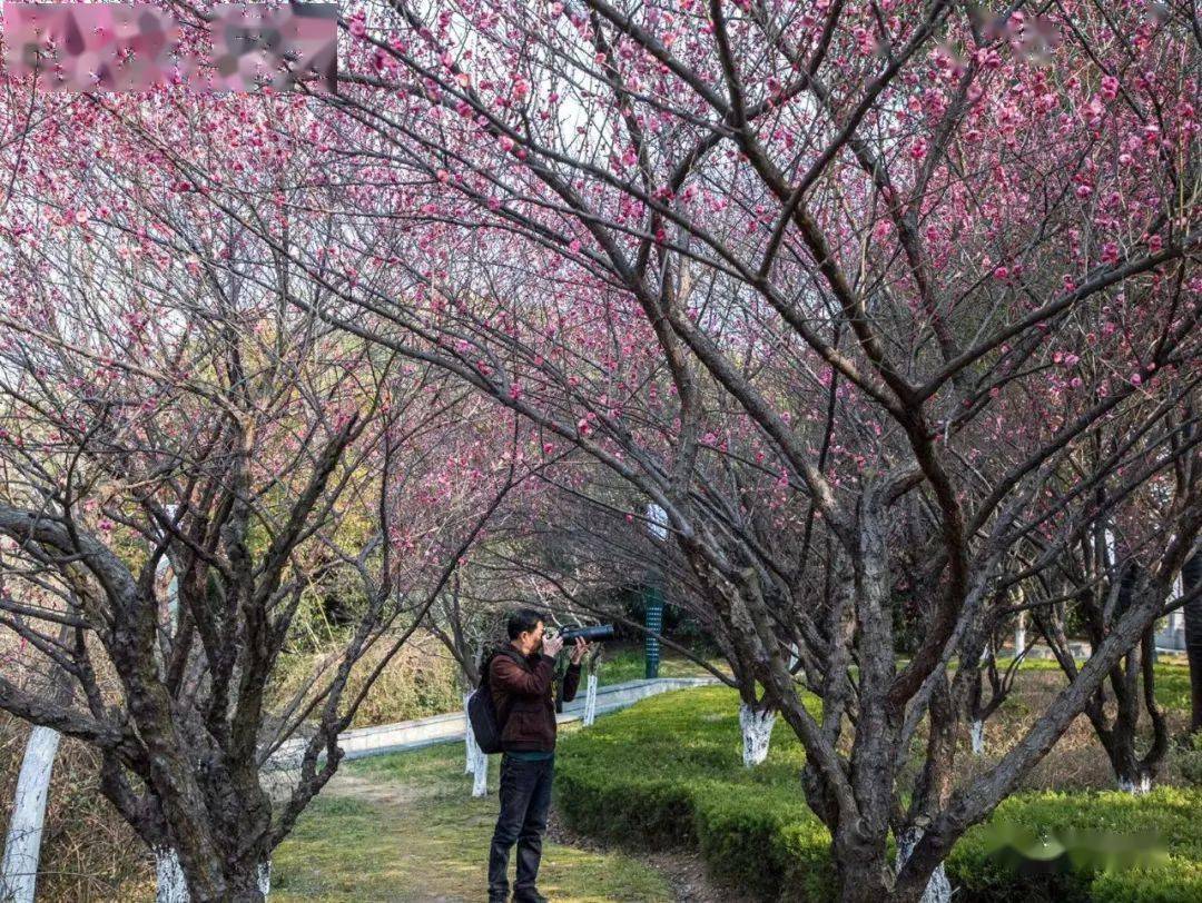 升了升了直冲20度