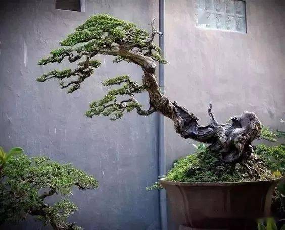 二月二龙抬头抬出一年好兆头