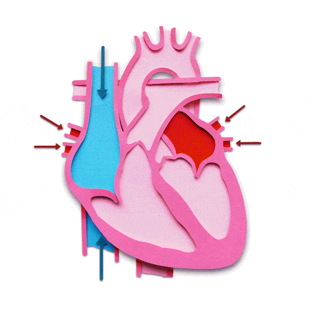 640_640gif 动态图 动图