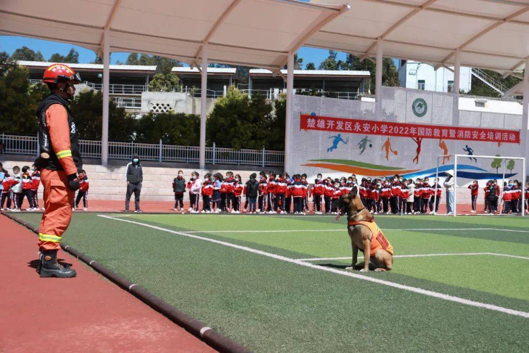 楚雄开发区永安小学图片